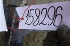 Траверса рамы поперечная (1) для International  9800i
