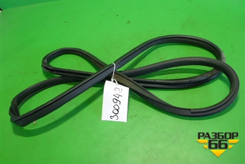 Уплотнитель двери (задней правой на кузов) для Nissan Teana (L33) с 2013г (Теана)