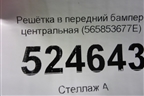 Решетка в передний бампер центральная (565853677E) для Skoda Kodiaq с 2017г