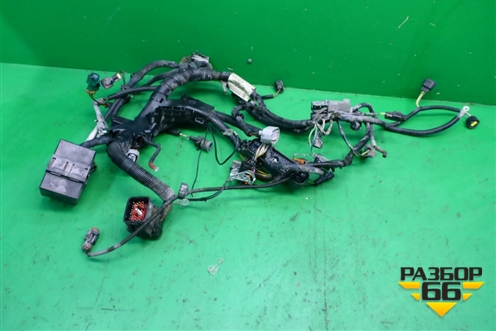 Проводка на двигатель (1.6л FYJA АКПП) (6S6T14K011DBD) для Ford Fusion с 2002г (Фьюжн)