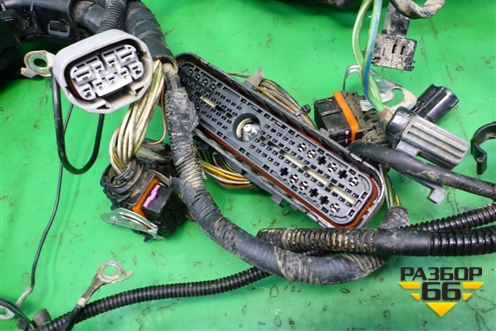 Проводка на двигатель (1.6л FYJA АКПП) (6S6T14K011DBD) для Ford Fusion с 2002г (Фьюжн)