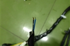 Проводка салонная (240141SZ6A) для Nissan Murano (Z51) с 2007-2015г (Мурано)