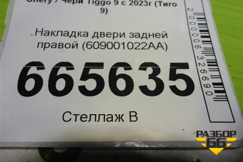 Накладка двери задней правой (609001022AA) для Chery Tiggo 9 с 2023г (Тиго 9)