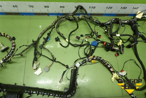 Проводка салонная (хетчбэк) (BV6T14401CYC) для Ford Focus 3 с 2011г (Фокус)