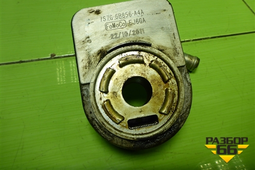 Радиатор масляный (7S7G6B856A4A) для Ford Focus 3 с 2011г (Фокус)