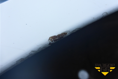 Крыло заднее левое (хетчбэк) (715034LC20) для Hyundai Solaris с 2010-2016г (Солярис)