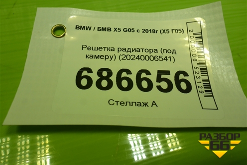 Решетка радиатора (под камеру) (20240006541) для BMW X5 G05 с 2018г (Х5 Г05)