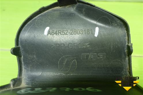 Заглушка в передний бампер (A64R522803181) для GAZ ГАЗель NN (НН)